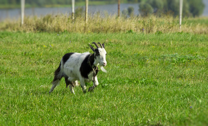 Similar image 813352