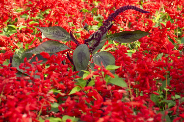 Similar image 813354