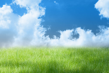 Similar image 813375