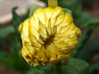 Similar image 813394