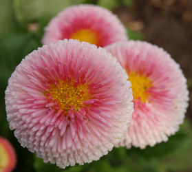 Similar image 813397