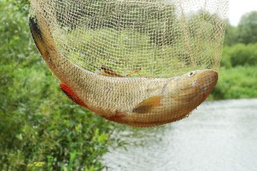 Similar image 813419