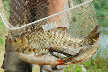 Similar image 813424