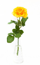 Similar image 813456