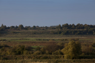 Similar image 813472