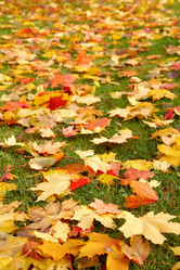 Similar image 813475