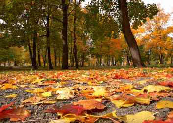 Similar image 813486