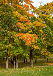 Similar image 813491