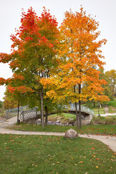 Similar image 813495