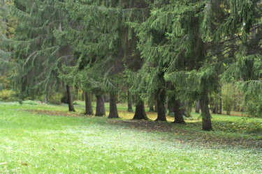 Similar image 813496