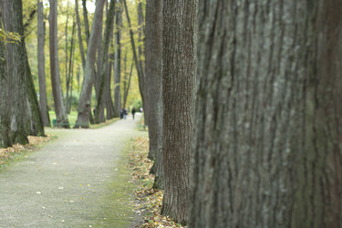 Similar image 813503