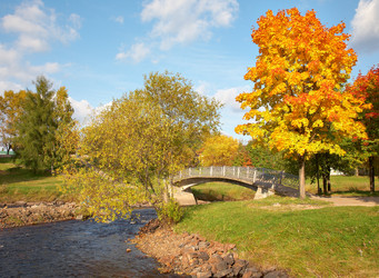 Similar image 813512