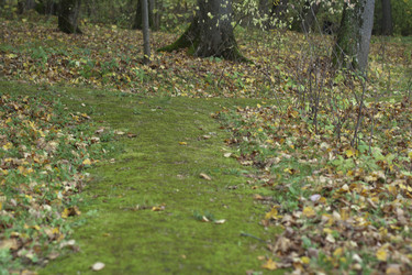 Similar image 813515