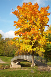 Similar image 813516