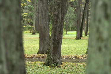 Similar image 813517