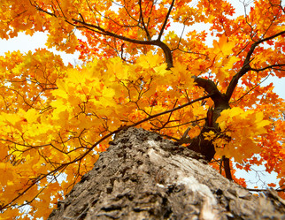 Similar image 813526