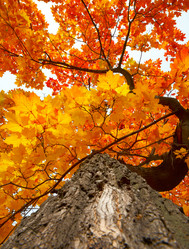 Similar image 813529