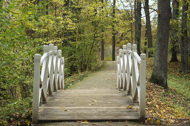 Similar image 813557