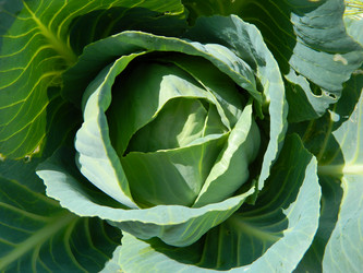 Similar image 813583