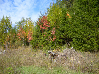 Similar image 813600