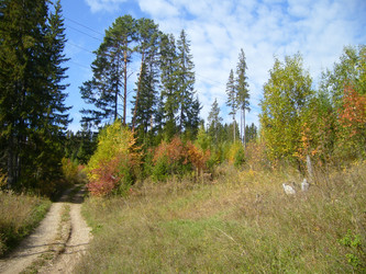 Similar image 813601