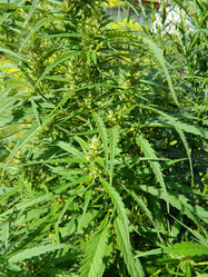 Similar image 813602