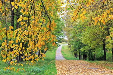 Similar image 813651