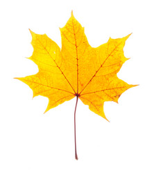 Similar image 813663