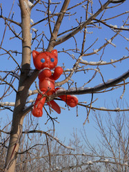 Similar image 813681