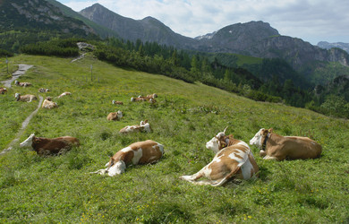 Similar image 813761