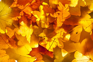 Similar image 813763