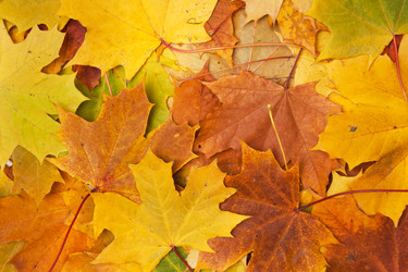 Similar image 813764