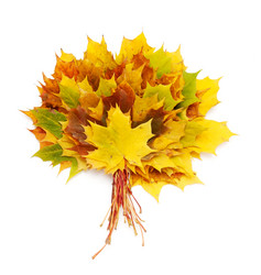 Similar image 813766