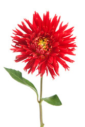 Similar image 813769