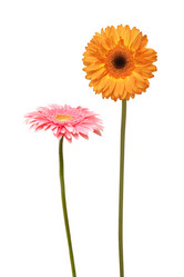 Similar image 813770