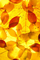 Similar image 813775