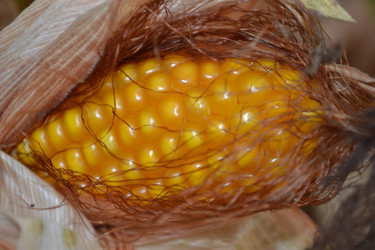 Similar image 813823