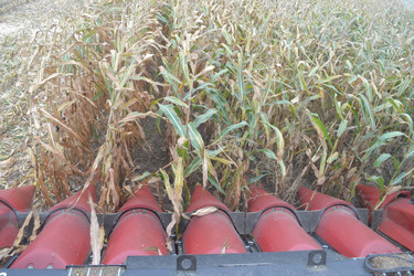 Similar image 813831