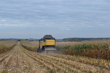 Similar image 813832