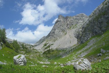 Similar image 813855