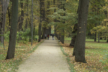 Similar image 813865