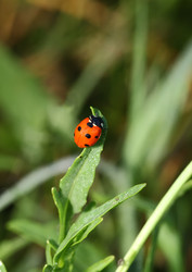 Similar image 813868