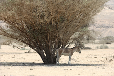 Similar image 813926