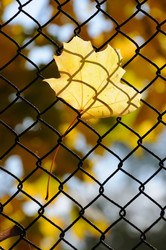 Similar image 813983