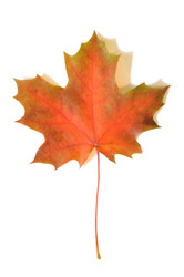 Similar image 813985