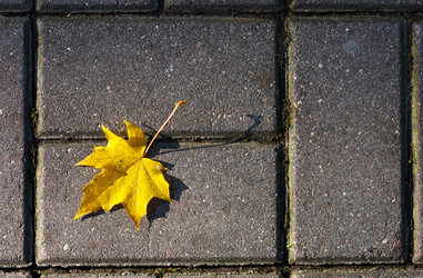 Similar image 814024