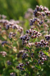 Similar image 814047