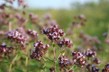 Similar image 814050