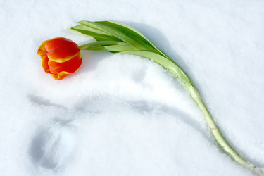 Similar image 814052