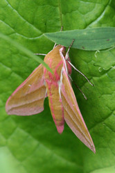 Similar image 814054